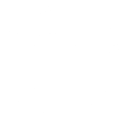 Academy of Truck Accident Attorneys